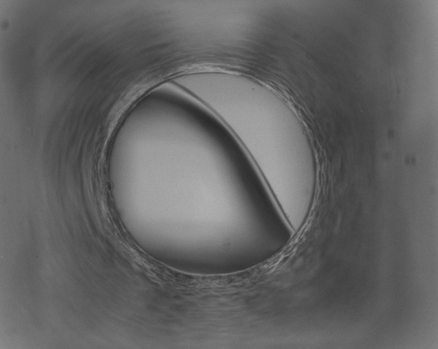 X0000071780289200606300924