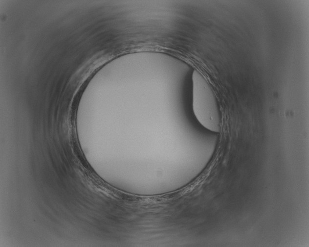 X0000071780290200606300924