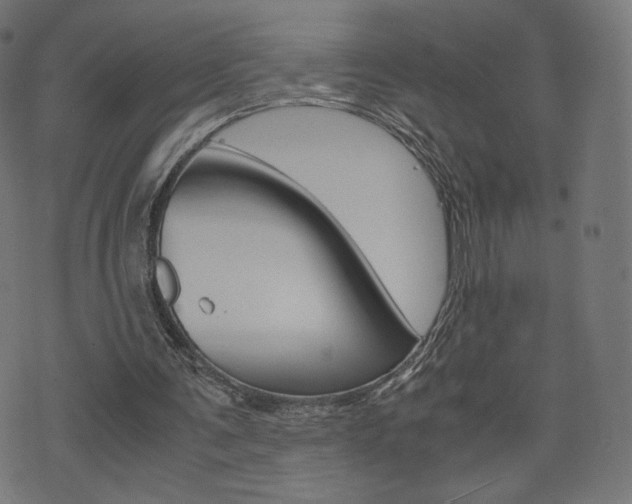 X0000071780291200606300924