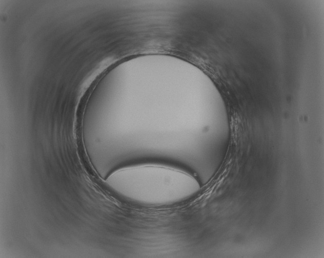 X0000071780292200606300924