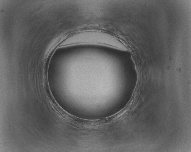 X0000071780293200606300924