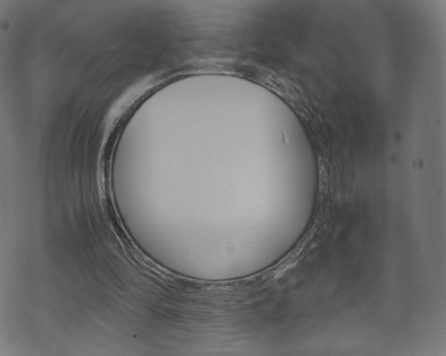 X0000071780294200606300924