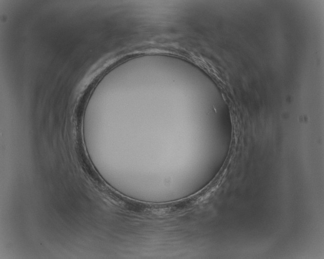 X0000071780295200606300924