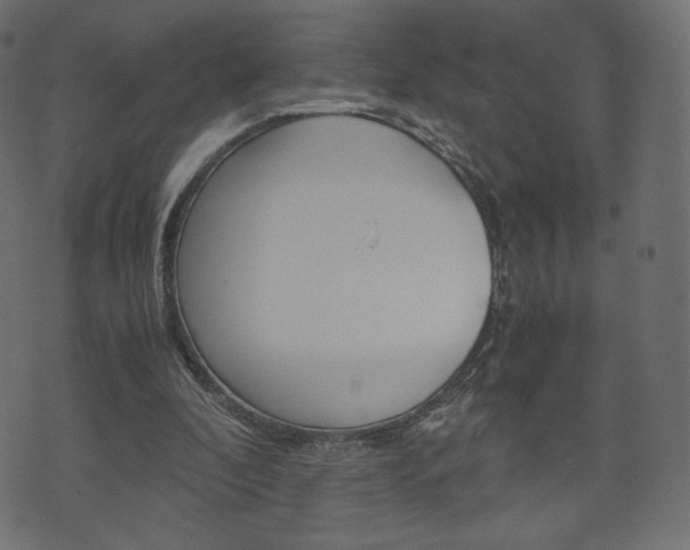 X0000071780296200606300924