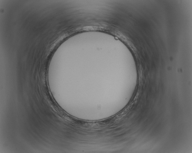 X0000071780297200606300924