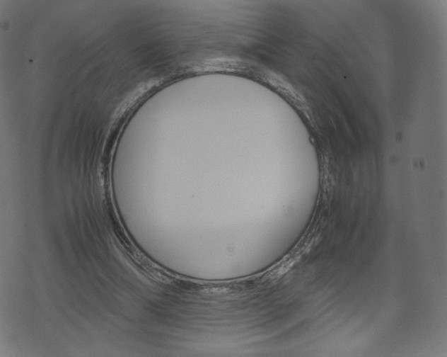 X0000071780298200606300924