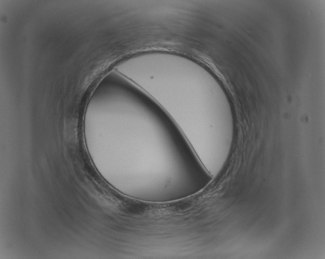 X0000071780299200606300924