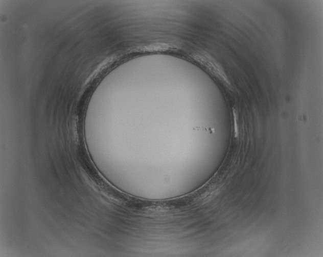 X0000071780300200606300924