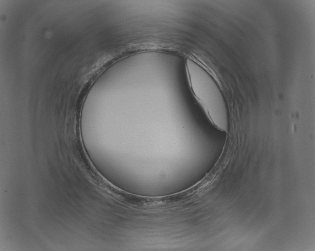 X0000071780301200606300924