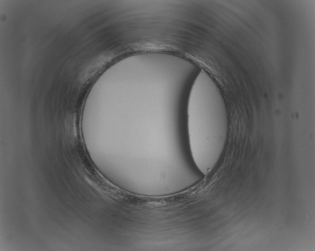 X0000071780302200606300924