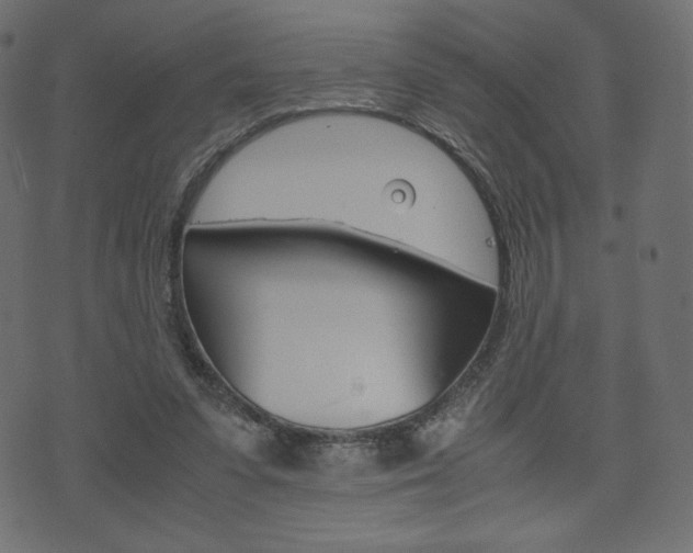 X0000071780303200606300924