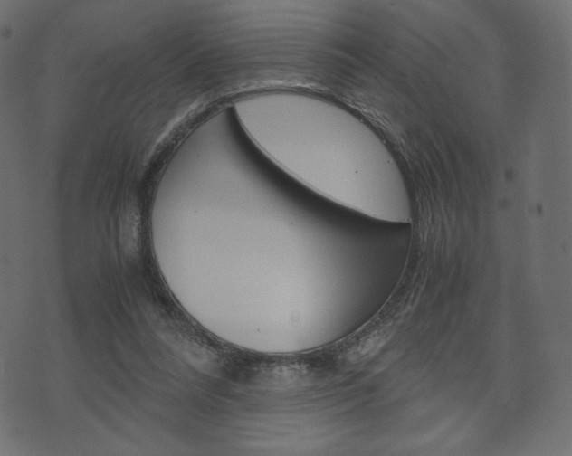 X0000071780304200606300924