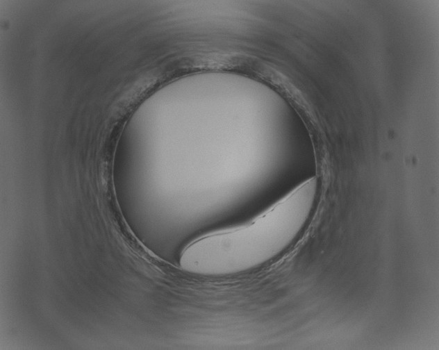 X0000071780305200606300923