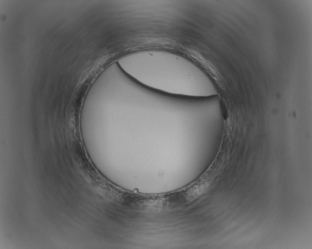 X0000071780306200606300923