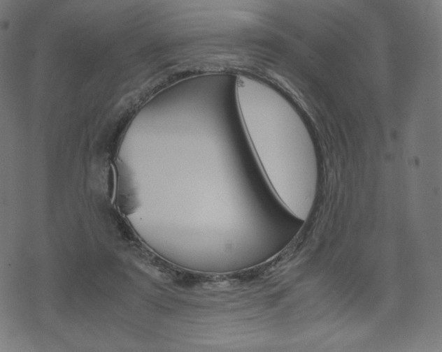 X0000071780307200606300923