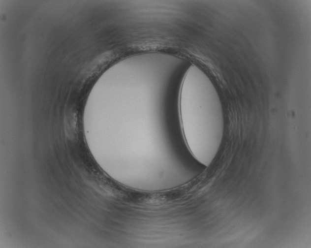 X0000071780308200606300923