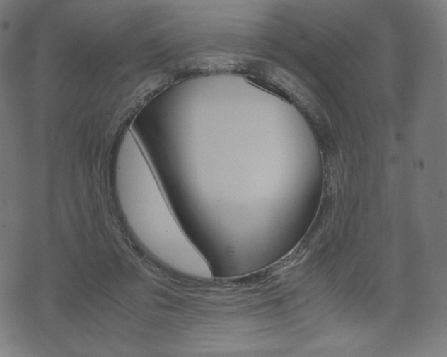 X0000071780309200606300923