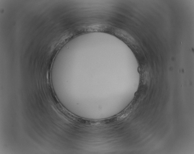 X0000071780310200606300923