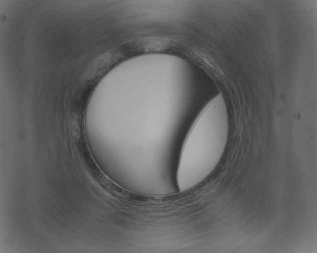 X0000071780311200606300923