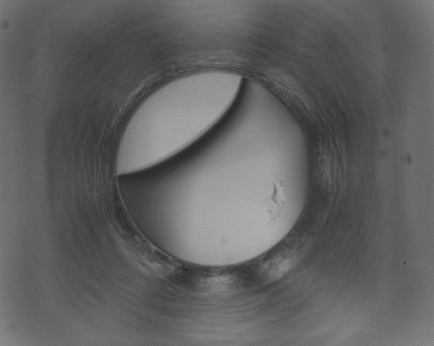 X0000071780312200606300923