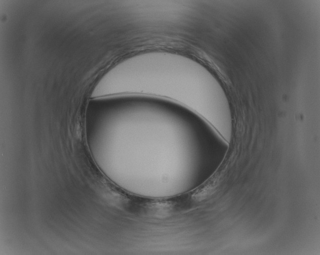 X0000071780313200606300923