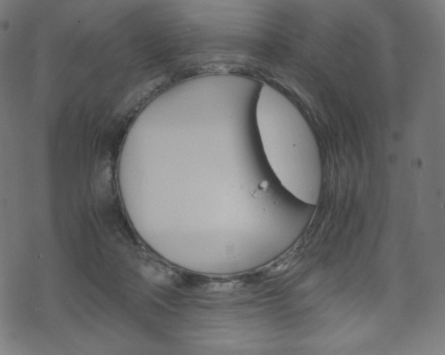 X0000071780314200606300923