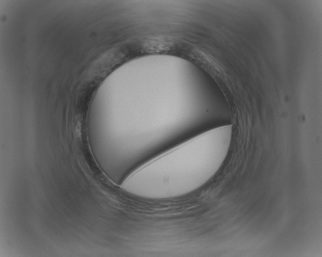 X0000071780315200606300923