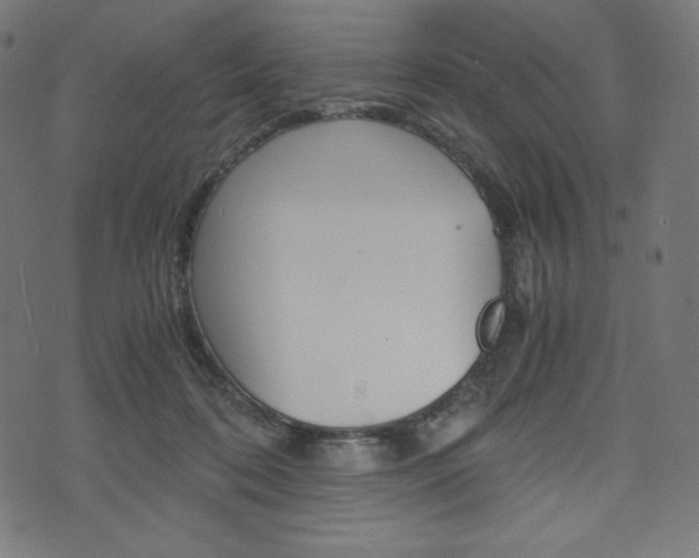 X0000071780316200606300923