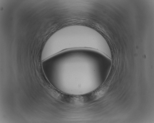 X0000071780317200606300923