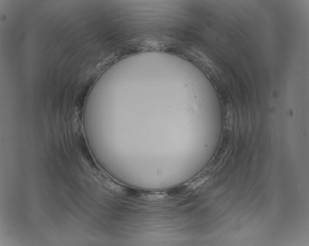 X0000071780318200606300923