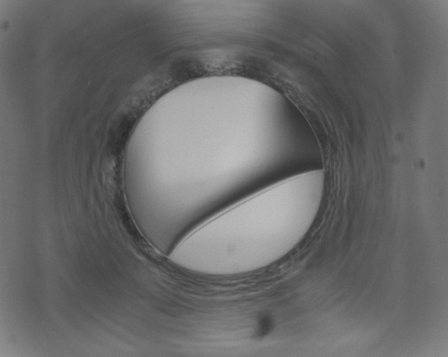 X0000071780319200606300923