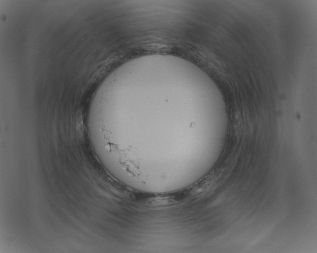 X0000071780320200606300923