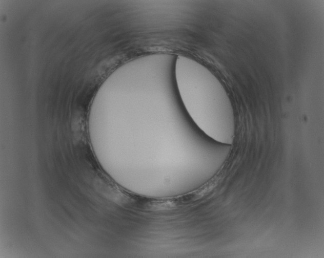 X0000071780322200606300923