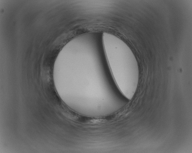 X0000071780323200606300923