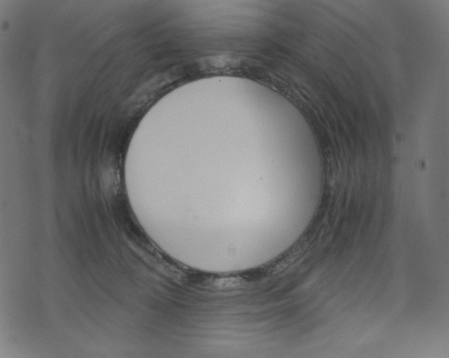 X0000071780324200606300923