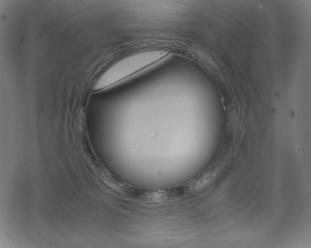 X0000071780325200606300923