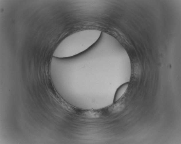 X0000071780326200606300923