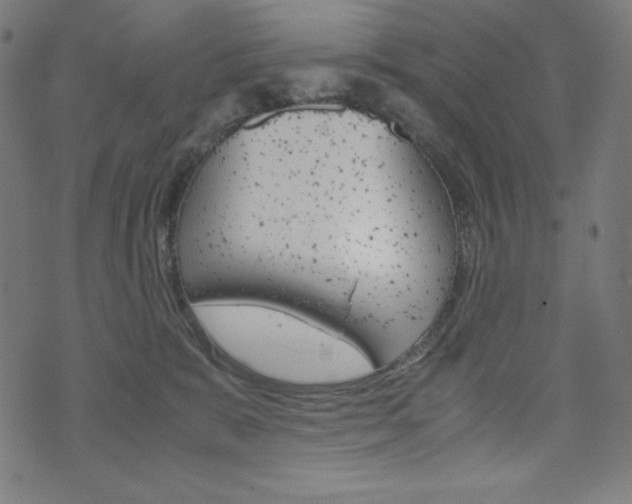 X0000071780327200606300923