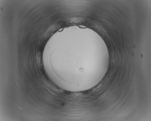 X0000071780328200606300923