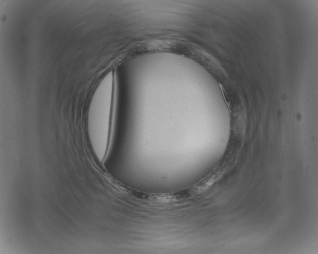 X0000071780329200606300923