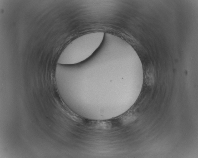 X0000071780330200606300923