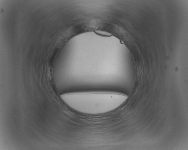 X0000071780331200606300923