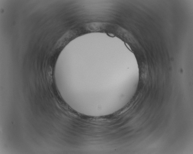 X0000071780332200606300923