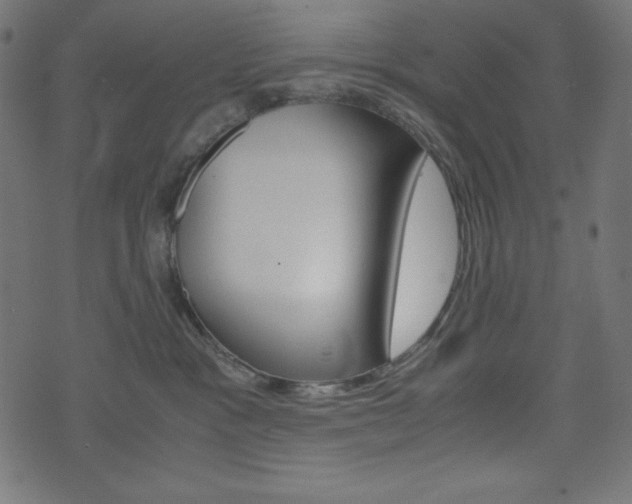 X0000071780333200606300923