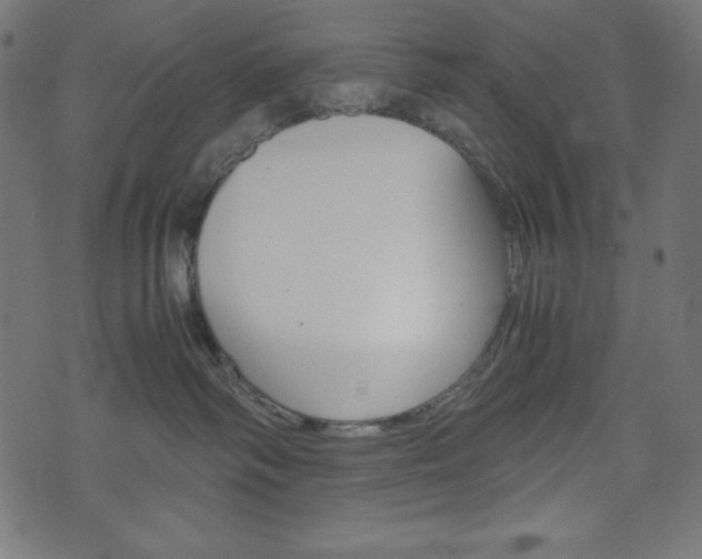 X0000071780334200606300923