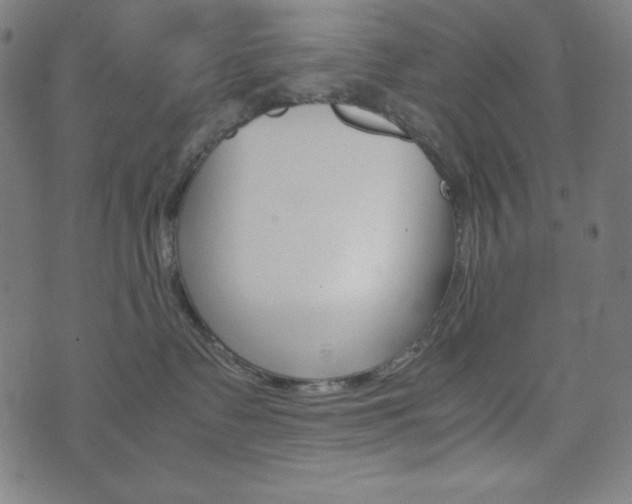 X0000071780335200606300923