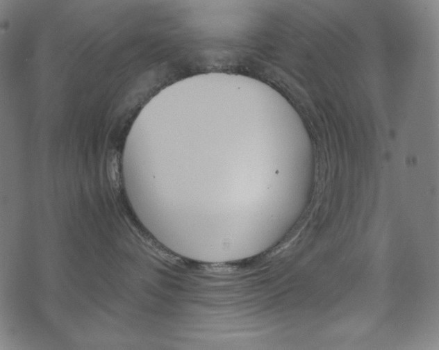 X0000071780336200606300923