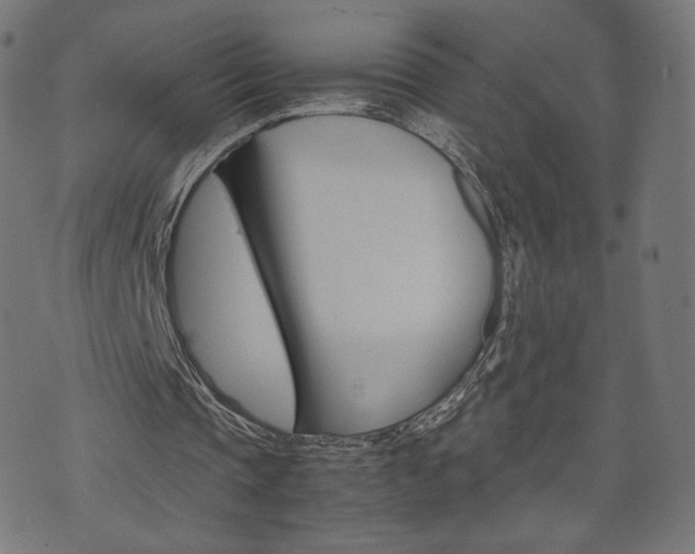 X0000071780337200606300922