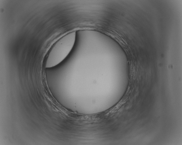 X0000071780338200606300922