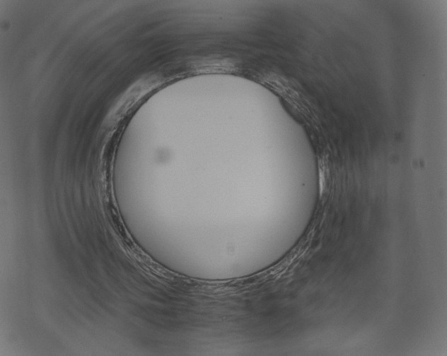 X0000071780339200606300922